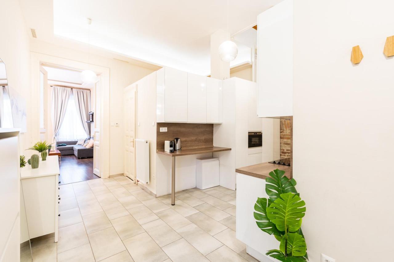 Spacious Luxury Apartment At The Heart Of Budapest Ngoại thất bức ảnh